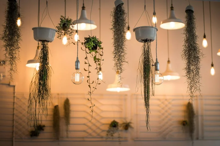 Showroom oświetlenia pod Warszawą. Po co oglądać lampy na żywo przed zakupem?