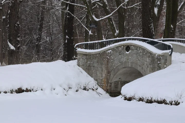 W Parku Potulickich trwają prace przy układzie wodnym - stawy sprawdzają konserwatorzy