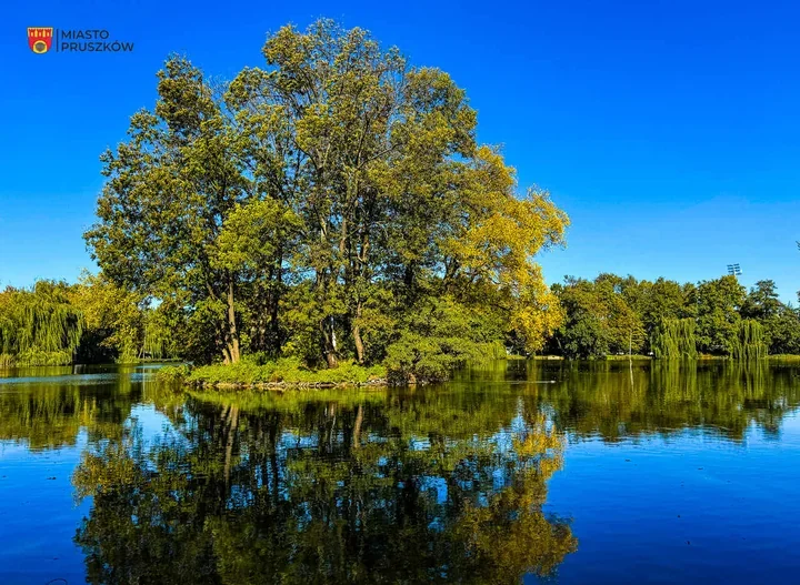 Kajaki wracają na główny staw. Letnia wypożyczalnia rusza w Parku Potulickich