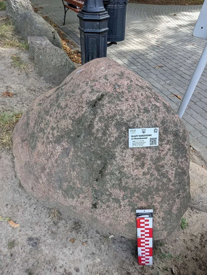 Pruszkowskie głazy dostały nowe identyfikatory. Wiadomo, skąd przybyły