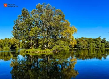 Kajaki wracają na główny staw. Letnia wypożyczalnia rusza w Parku Potulickich
